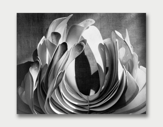Framing Canada – Photographic Collections