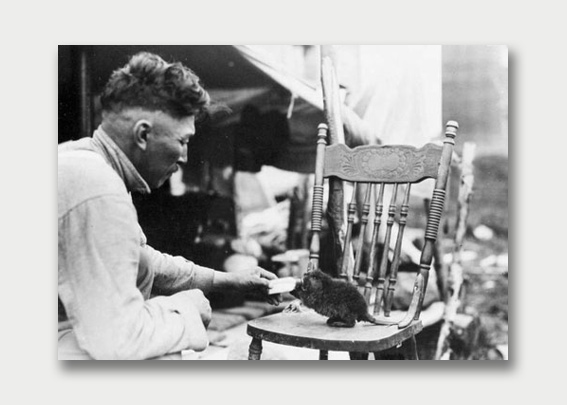 Framing Canada – Photographic Collections