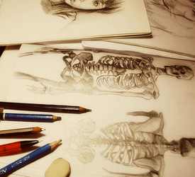 Arianne Pascual – Thinkspace