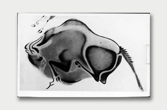 Photo Essay – Art and Other Curious Dialogue