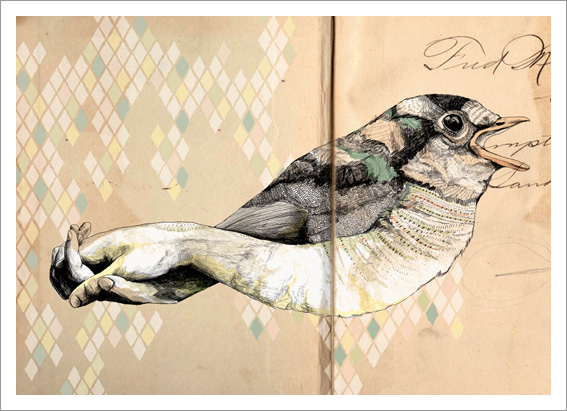 Gabriella Barouch Illustration