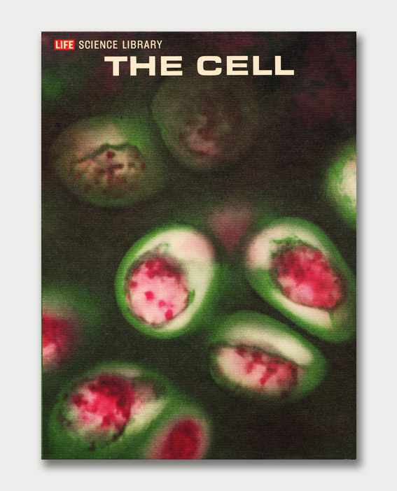 Life Science Library Book Covers & Graphics, 1960s