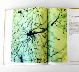 Atlas of the Body and Mind, 1976
